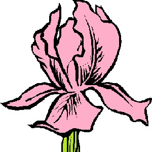 Logo del sito per lo scambio di iris tra amatori